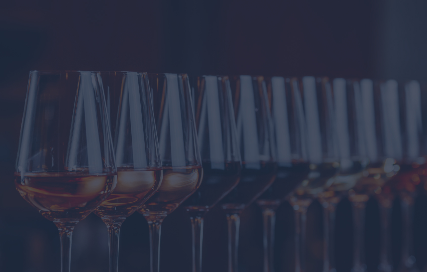 Row of elegant wine glasses